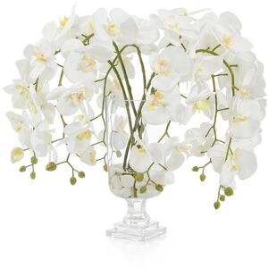 Glamorous Phals Botanical, Permanent Florals