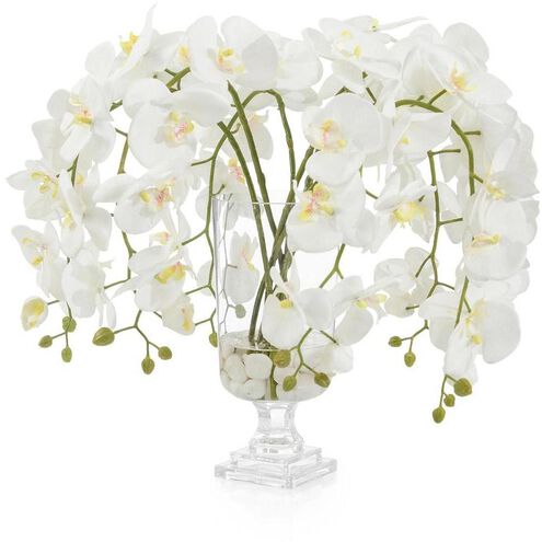 Glamorous Phals Botanical, Permanent Florals