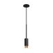 Exhaust Pendant LED 2.36 inch Graphite / Brass Pendant Ceiling Light