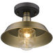 Burry 1 Light 10.25 inch Antique Brass Exterior Convertible Pendant