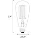 Glow Incandescent ST64 E26 Medium 60 watt 120 2200K Bulb