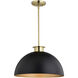 Devon LED 15.75 inch Matte Black and Satin Brass Pendant Ceiling Light