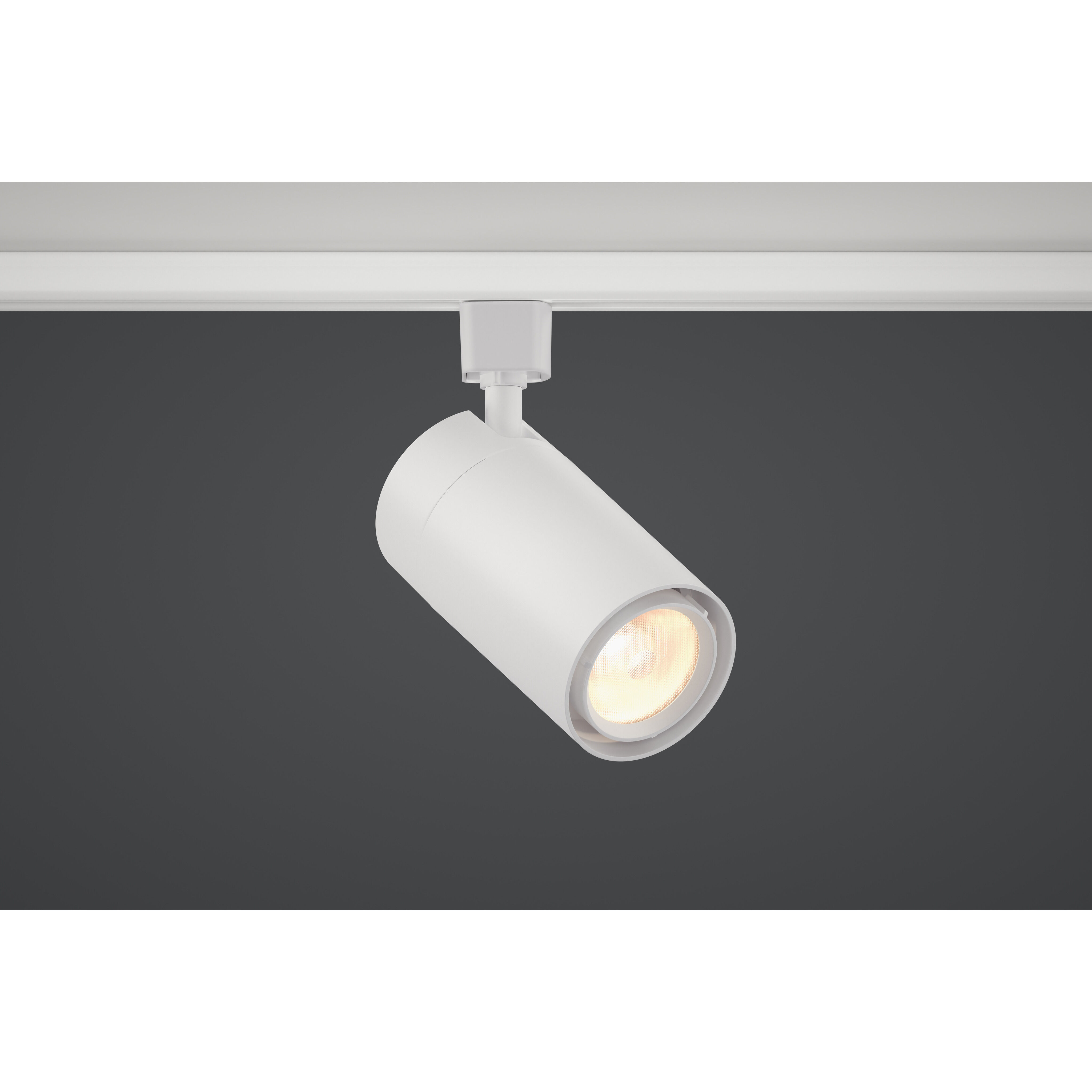 GX25 1 Light 120 White Track Light Head Ceiling Light, For ECOJ/JUNO Track