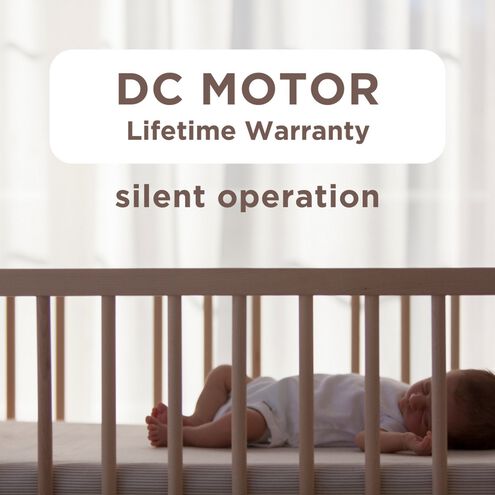 Atlas Alessandra 56 inch Brushed Brass with Brushed Nickel Blades Indoor/Outdoor Ceiling Fan