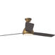 Hicks 60 inch Hand Rubbed Antique Brass with Dark Mahogany Blades Ceiling Fan in Hand-Rubbed Antique Brass