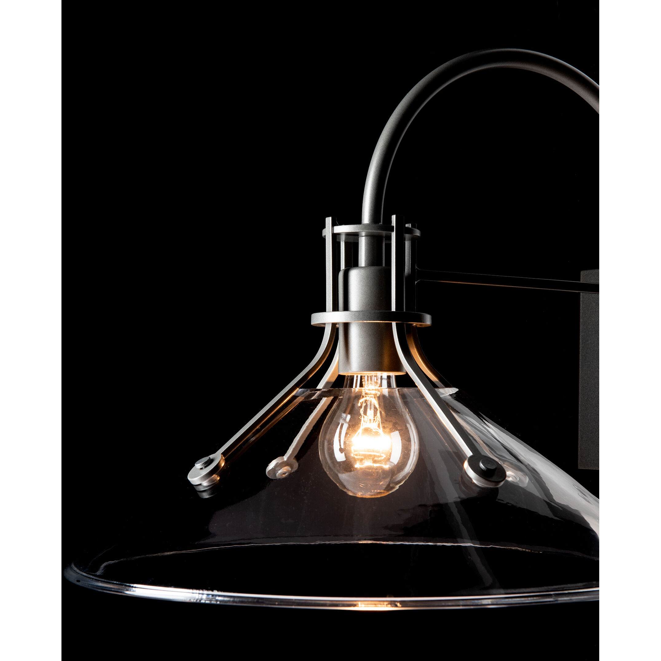 Henry 1 Light 12.9 inch Coastal Burnished Steel Outdoor Sconce in Clear, Large