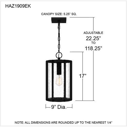Hazel 1 Light 9 inch Earth Black Outdoor Hanging Lantern