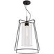 Cere 1 Light 14.25 inch Matte Black with Clear Pendant Ceiling Light