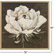 Paragon White and Brown and Multi and Neutral Framed Art