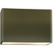 Ambiance LED 16.5 inch Matte Green ADA Wall Sconce Wall Light