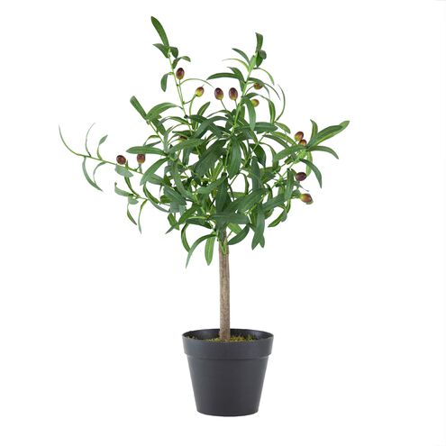 Anita Green and Black Faux Plant