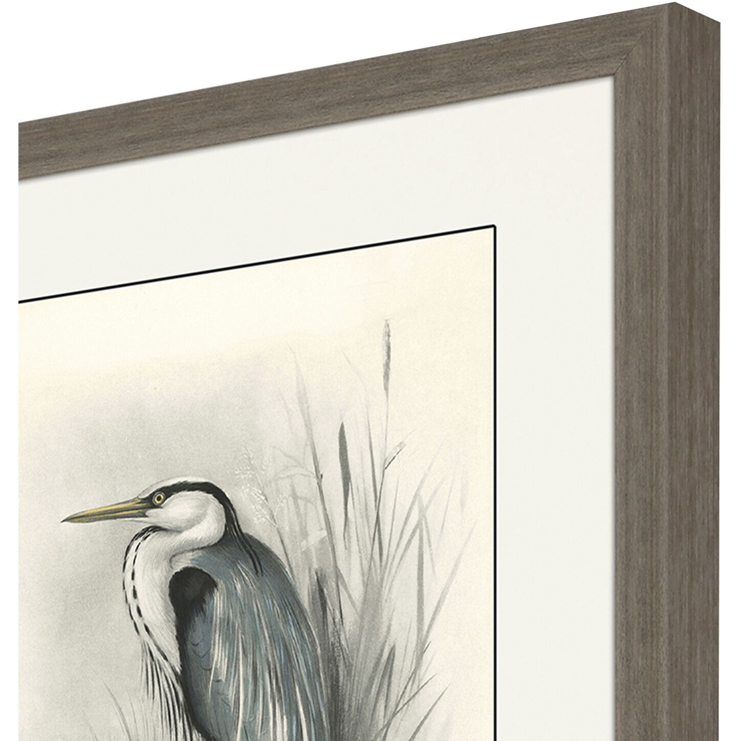 Animals Gray and Beige and Neutral and White Framed Art