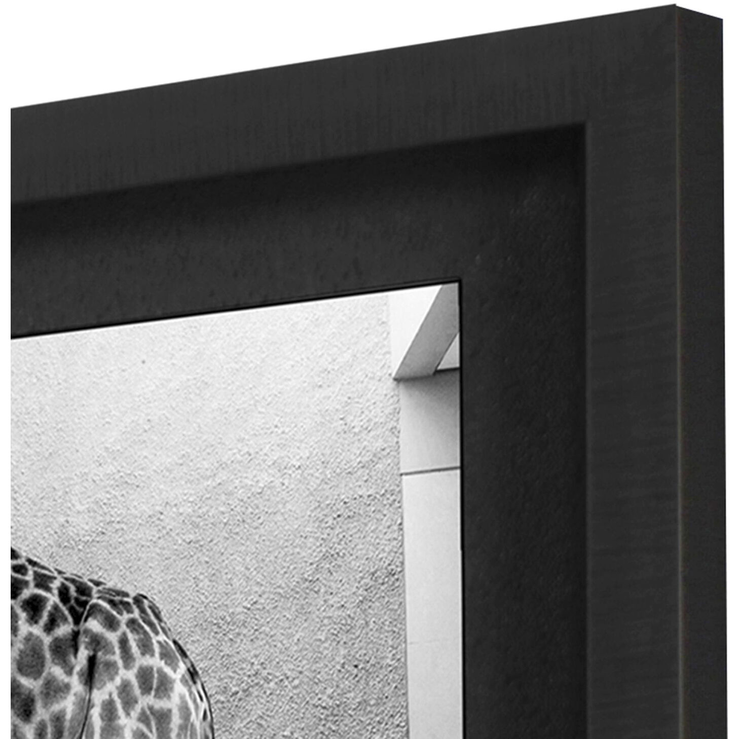 Safari Bath White and Black and Gray Framed Art