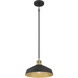 Axlen 1 Light 12 inch Matte Black and Vintage Brass Pendant Ceiling Light