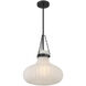 Traditional 1 Light 15 inch Matte Black Pendant Ceiling Light