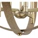 Allegheny 5 Light 22 inch Soft Gold Chandelier Ceiling Light, Design Series