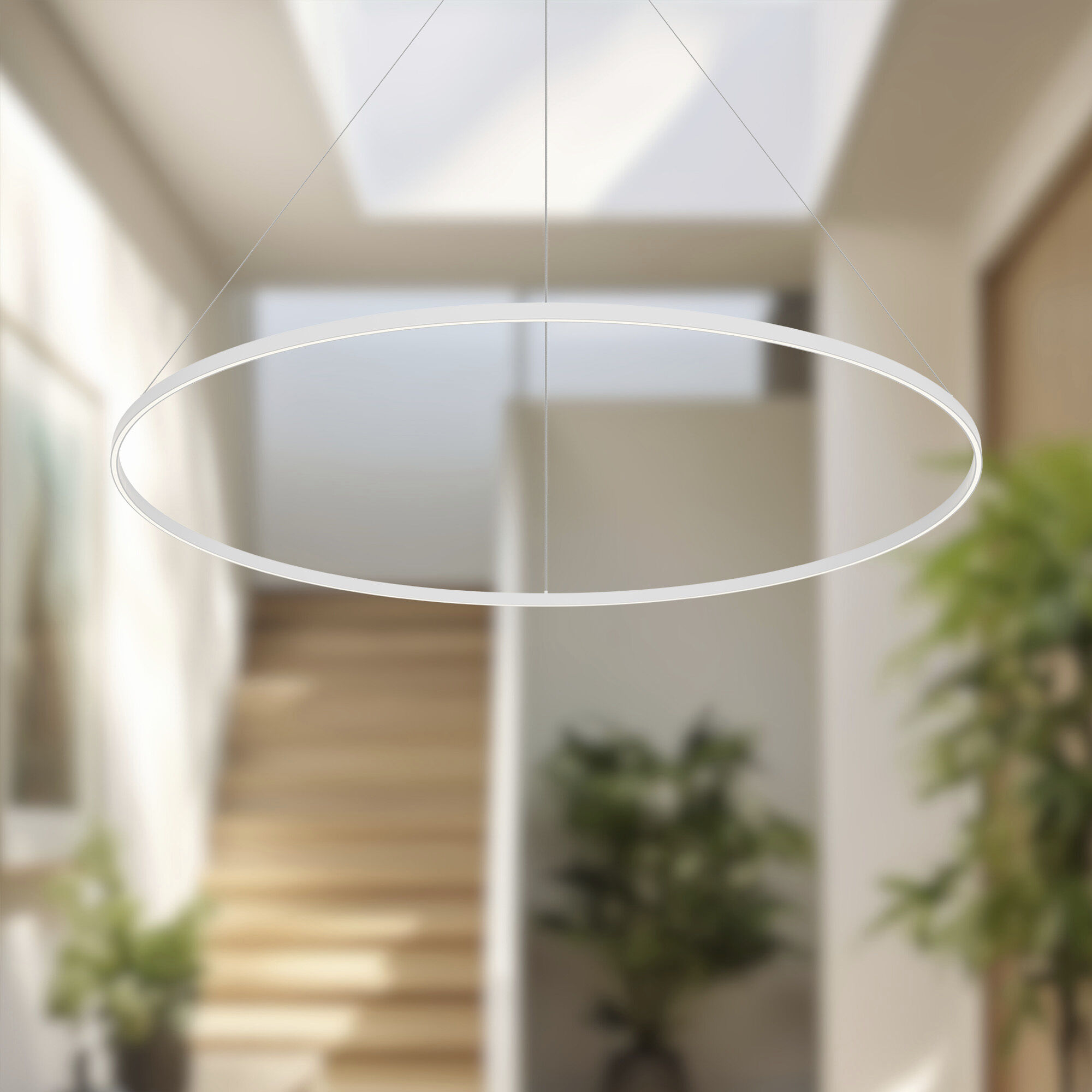 Cerchio Pendant Ceiling Light in White