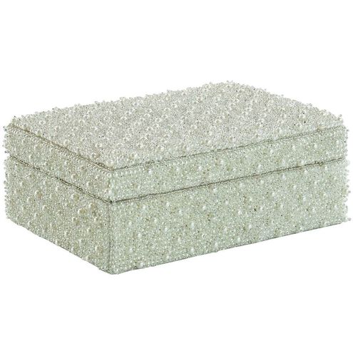 Pearlescent Beads 8.5 X 4.75 inch Box