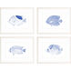 Animals Collection Blue Framed Art