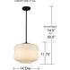 Cara 1 Light 14 inch Matte Black Pendant Ceiling Light