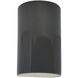 Ambiance 1 Light 12.5 inch Gloss Grey Outdoor Wall Sconce in Incandescent, Gloss Gray