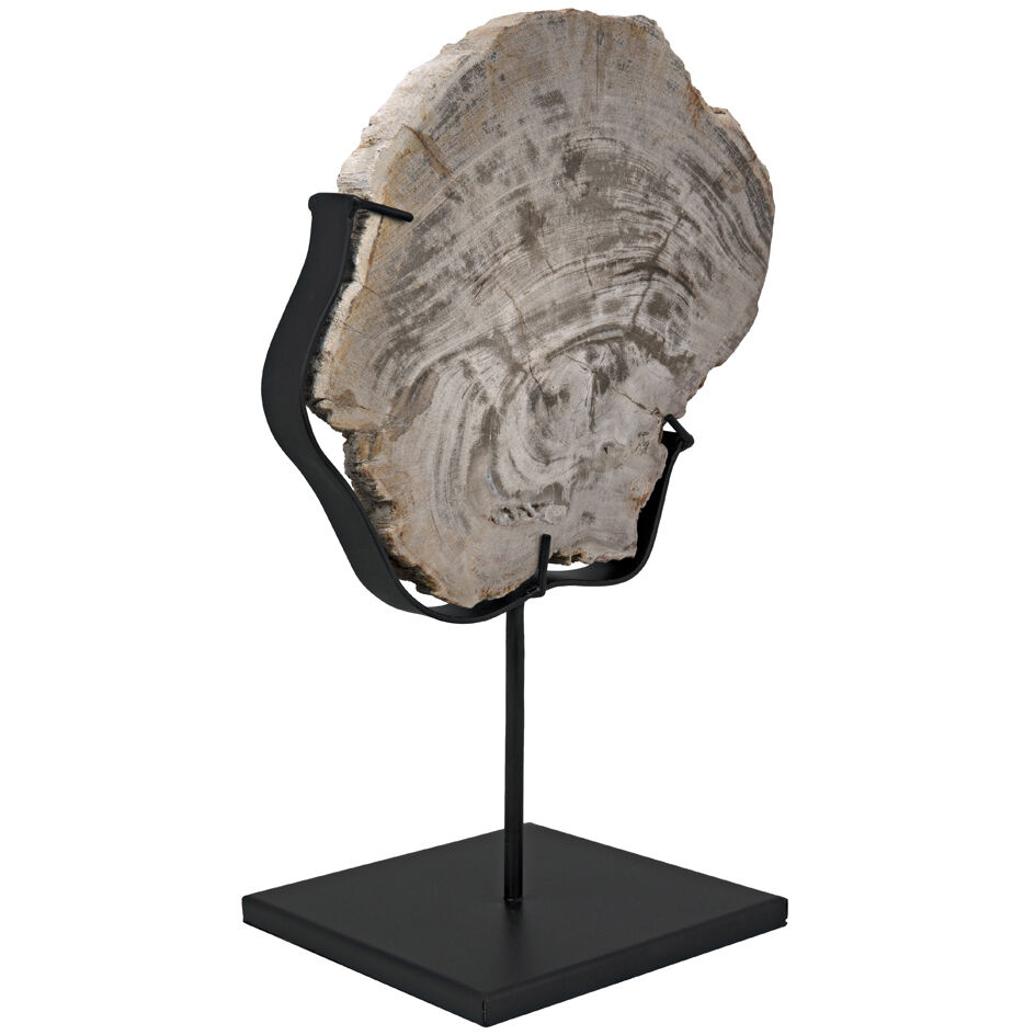 Wood Fossil Matte Black Statue