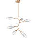 Aalto LED 38.8 inch Novel Brass Chandelier Ceiling Light in Optic Rib Clear, 2700K LED, Modern Vine