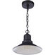 Singleton 1 Light 11 inch Midnight Outdoor Pendant