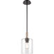 Paladin 1 Light 7 inch Matte Black Mini Pendant Ceiling Light in Seedy Glass
