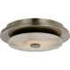 Anne-Marie Barton Lunara LED 11 inch Pewter Flush Mount Ceiling Light