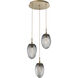 Meteo LED LED Gilded Brass Chandelier Ceiling Light, Round Multi-Port