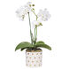 Dot White Faux Orchid