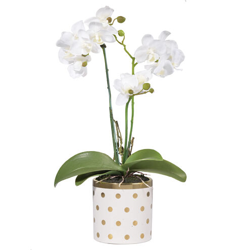 Dot White Faux Orchid