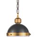 Otis 1 Light 8.5 inch Blackened Brass and Natural Brass Pendant Ceiling Light, Small