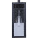 Alaina 1 Light 14.88 inch Black Outdoor Wall Lantern