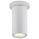 GX25 LED 3.5 inch White Surface Mount Ceiling Light