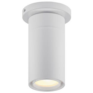 GX25 1 Light 3.50 inch Flush Mount