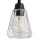 Arctic 1 Light 5 inch Acid Dipped Black Pendant Ceiling Light