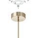 Novella LED 18 inch Polished Gold Convertible Pendant Ceiling Light