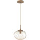 Nova LED LED 10 inch Novel Brass Pendant Ceiling Light in 2700K LED, Floret Inner - Amber Outer