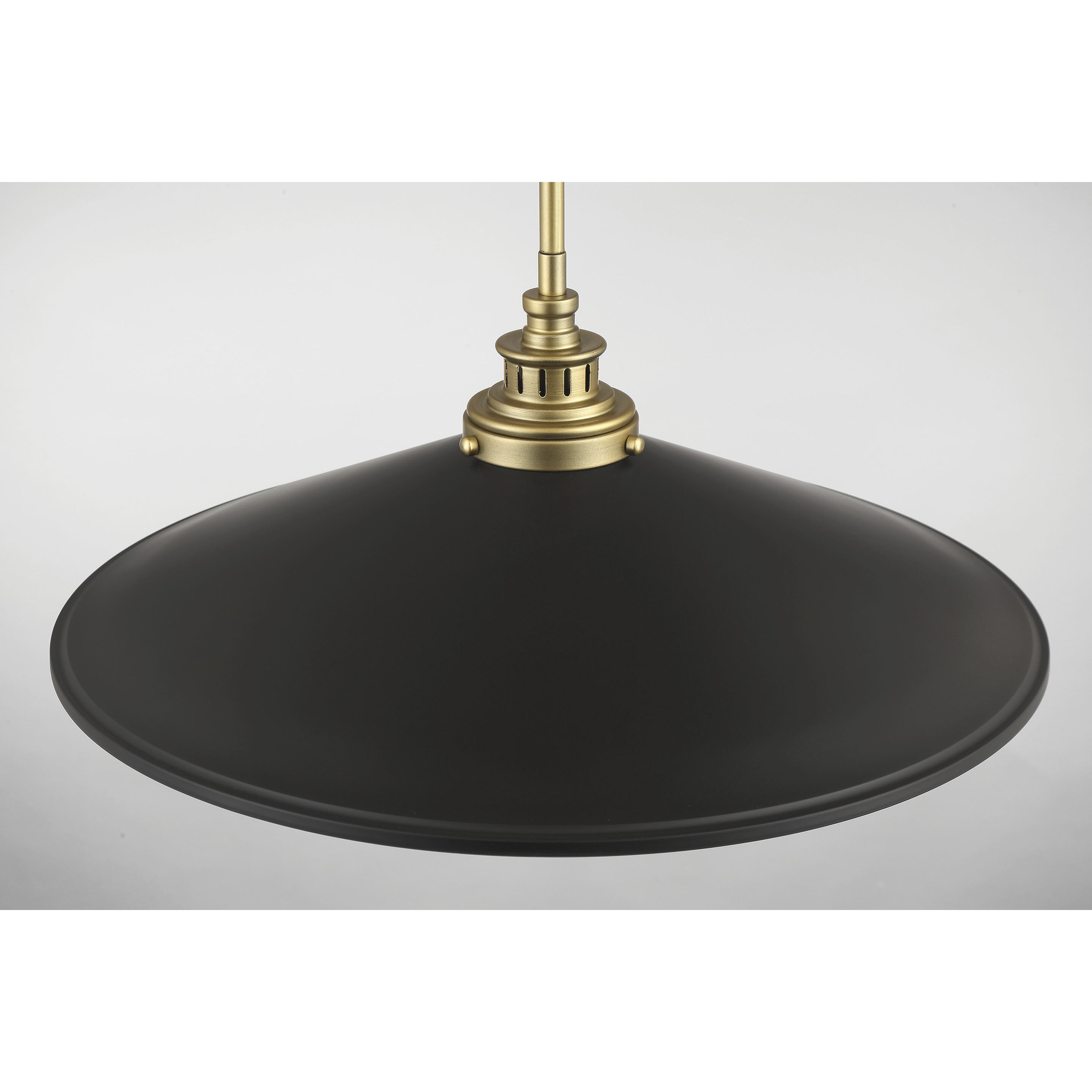 Segan 1 Light 20 inch Coal & Soft Brass (Painted) Pendant Ceiling Light, Outdoor