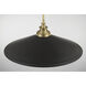 Segan 1 Light 20 inch Coal & Soft Brass (Painted) Pendant Ceiling Light, Outdoor