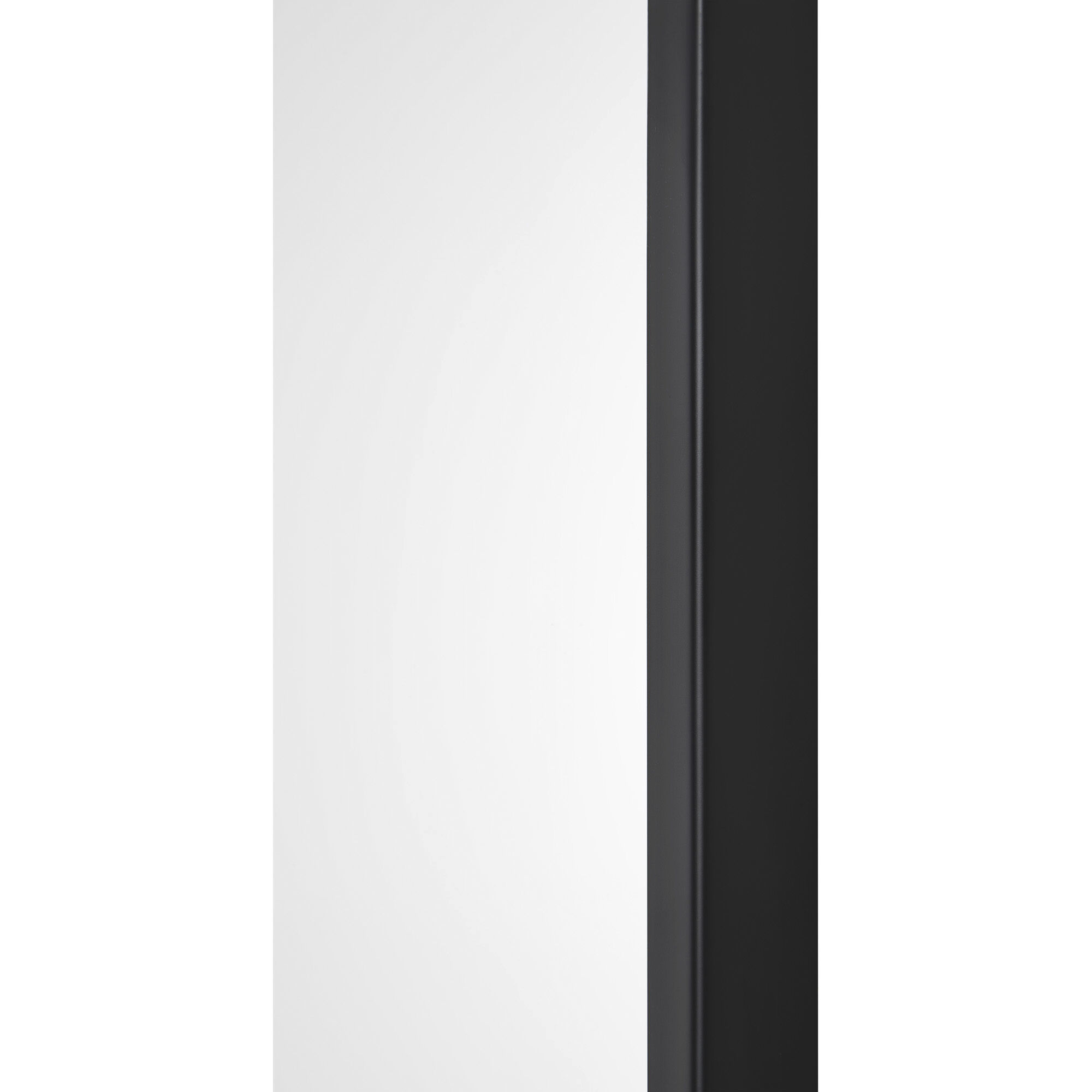 Lamia 50 X 40 inch Matte Black and Clear Mirror