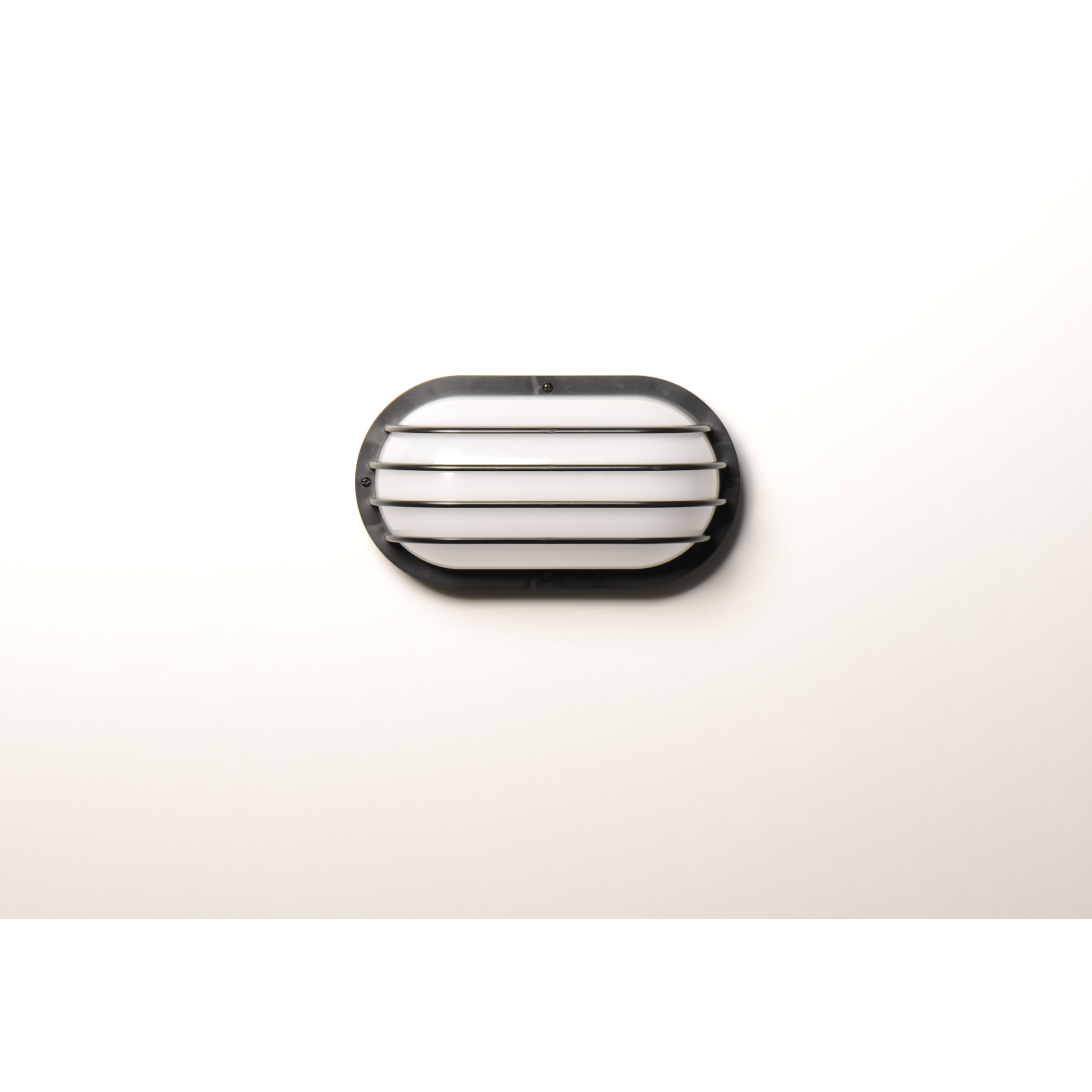 Bulwark LED 6 inch Black Outdoor Wall Mount