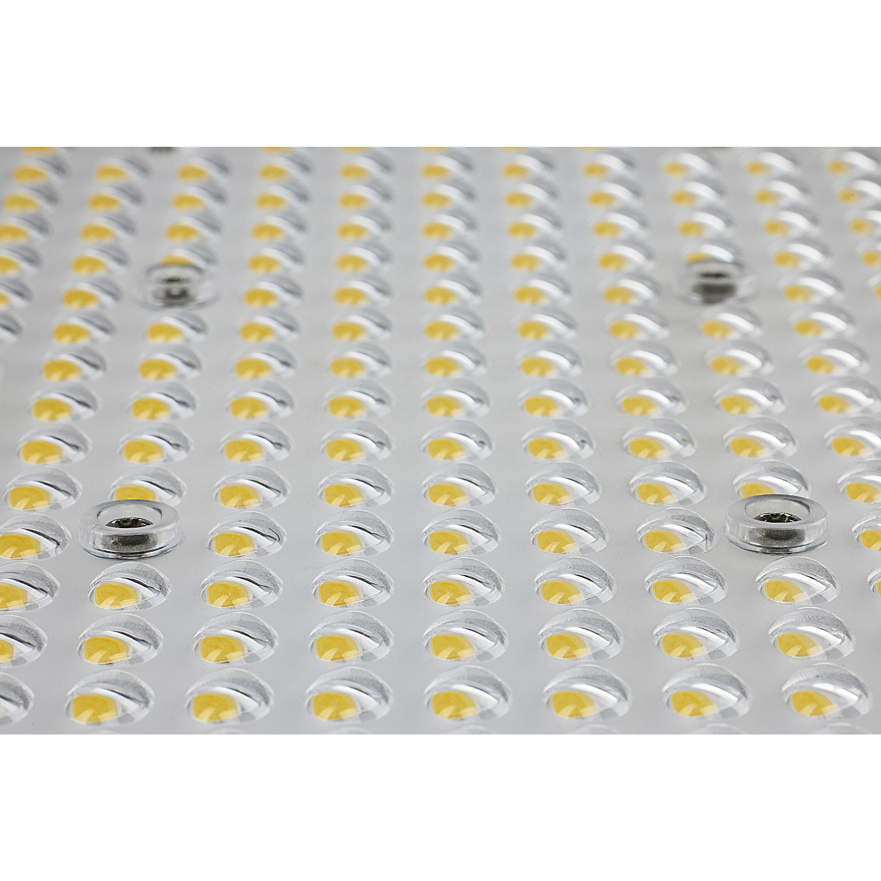 Brentwood Outdoor Area Light