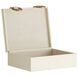 Facci 11 inch Ivory and Antique Brass Box