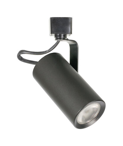 Contempo Series 1 Light 120V Black Track Head Ceiling Light, H-Type