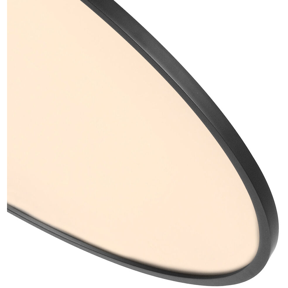 Salm 24 inch Black Pendant/Chandelier Ceiling Light