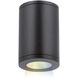 Tube Arch LED 4.88 inch Black Outdoor Flush in Narrow, 90, Color Changing