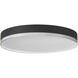 Mona 19.75 inch Matte black Flush Mount Ceiling Light
